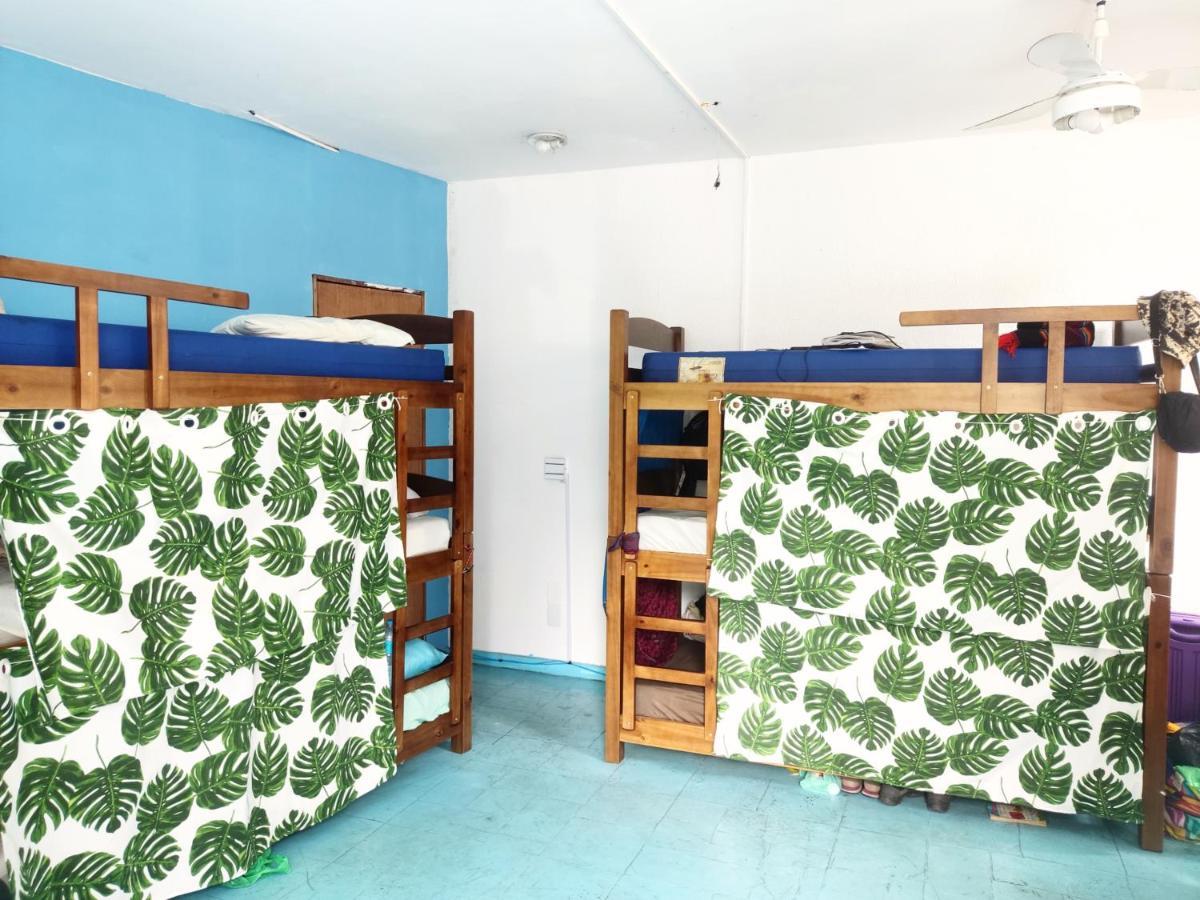 Bed and breakfast Sirius
